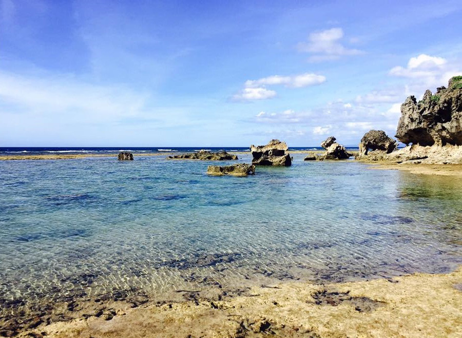 古宇利島海水清澈見底、沙灘潔白無暇，還可見到海膽、熱帶魚與小章魚遨游水中，是最純淨無染的天然生態教室。 