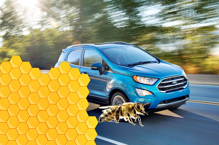 做好車就要抄襲自然界的點子 福特Ecosport行李廂借用蜂巢的概念
